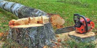 Best Lot and Land Clearing  in Wilson Conococheague, MD